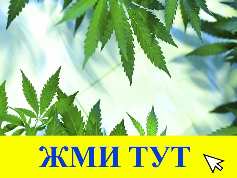 Купить наркотики в Михайловке